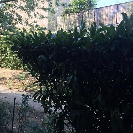 Les Jardins De Louise-2 Pers Avec Parking-Terrasse Apartman Vénissieux Kültér fotó